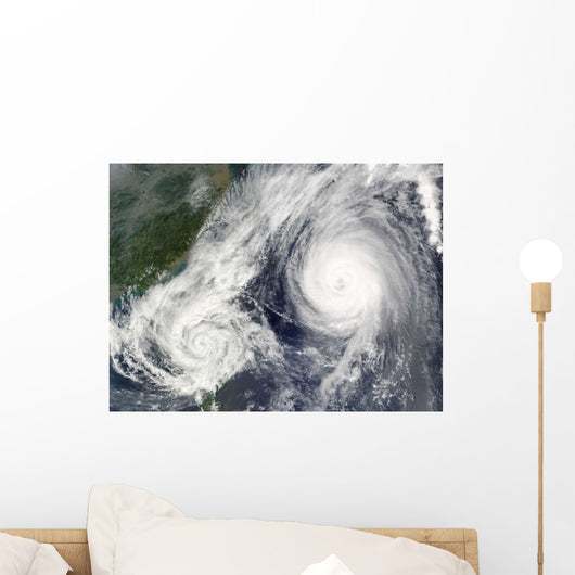 Tropical Storm Parma and Wall Decal