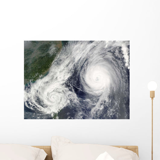 Tropical Storm Parma and Wall Decal