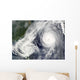 Tropical Storm Parma and Wall Decal