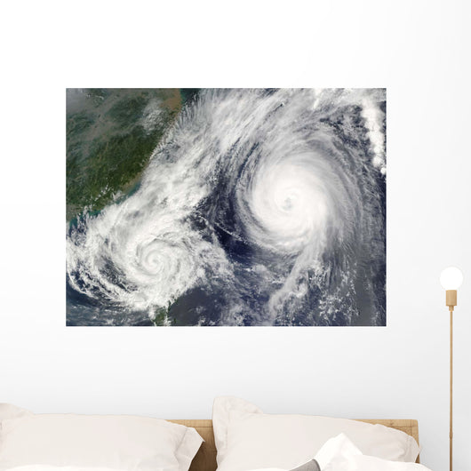 Tropical Storm Parma and Wall Decal
