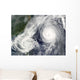 Tropical Storm Parma and Wall Decal