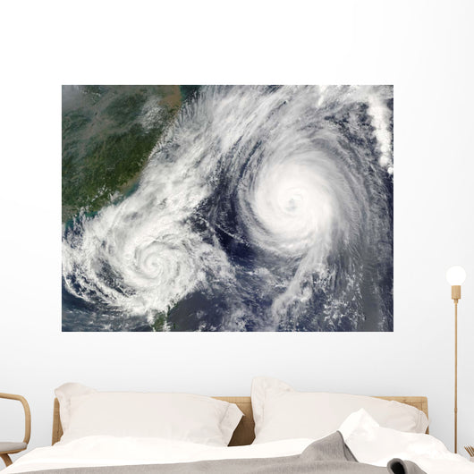 Tropical Storm Parma and Wall Decal