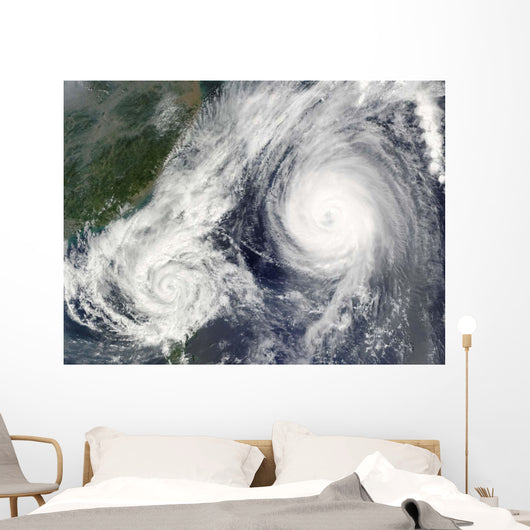 Tropical Storm Parma and Wall Decal