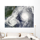 Tropical Storm Parma and Wall Decal