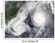 Tropical Storm Parma and Wall Decal