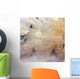 Tabun-khara-obo Ancient Impact Crater Wall Decal