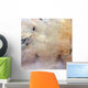 Tabun-khara-obo Ancient Impact Crater Wall Decal