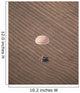 Soyuz Tma-14 Spacecraft Lands Wall Decal