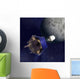 Artist's Illustration Lunar Crater Wall Decal