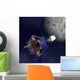 Artist's Illustration Lunar Crater Wall Decal