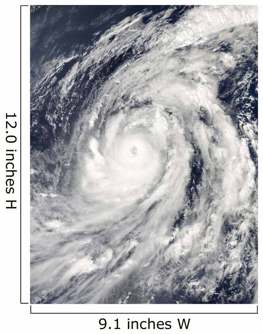 Typhoon Lupit Wall Decal Design 2