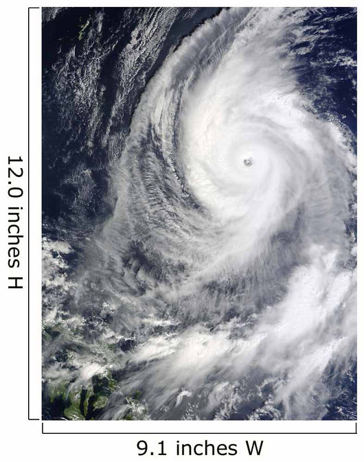 Typhoon Lupit Wall Decal Design 1