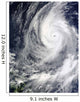 Typhoon Lupit Wall Decal Design 1