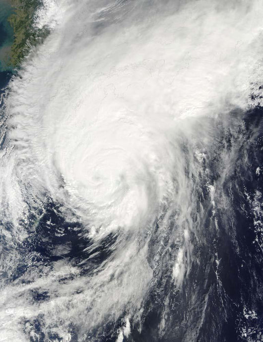 Typhoon Melor Approaching Japan Wall Decal