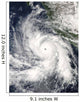 Hurricane Rick Hovers over Wall Decal