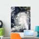 Hurricane Rick Southwest Baja Wall Decal