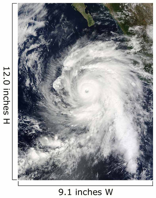 Hurricane Rick Southwest Baja Wall Decal