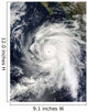 Hurricane Rick Southwest Baja Wall Decal