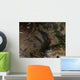South Central Russia Wall Decal