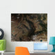 South Central Russia Wall Decal