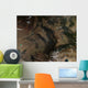 South Central Russia Wall Decal