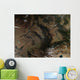 South Central Russia Wall Decal