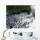 Cloud Streets Are Visible Wall Decal