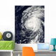 Hurricane Neki West Hawaii Wall Decal