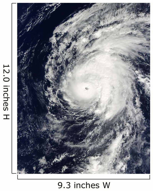Hurricane Neki West Hawaii Wall Decal