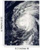 Hurricane Neki West Hawaii Wall Decal