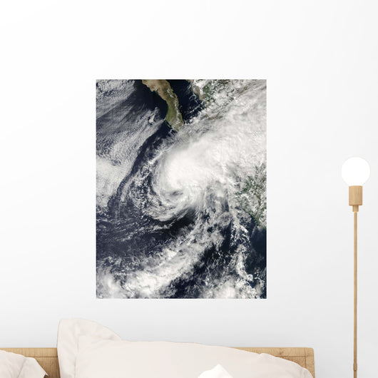 Tropical Storm Rick Approaching Wall Decal