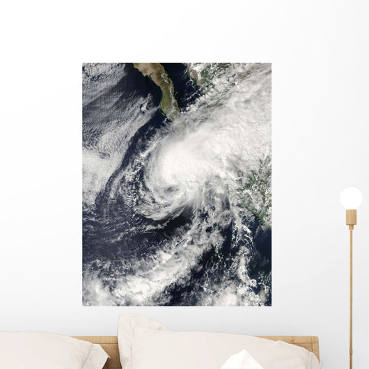 Tropical Storm Rick Approaching Wall Decal