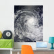 Cyclone Anja over Southern Wall Decal