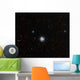 Southern Pinwheel Galaxy Wall Decal