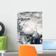 Tropical Storm Ida Caribbean Wall Decal Design 2