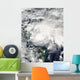Tropical Storm Ida Caribbean Wall Decal Design 2