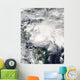 Tropical Storm Ida Caribbean Wall Decal Design 2