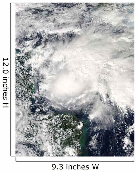 Tropical Storm Ida Caribbean Wall Decal Design 2