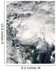 Tropical Storm Ida Caribbean Wall Decal Design 2