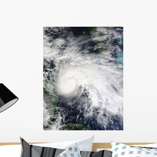 Tropical Storm Ida Caribbean Wall Decal Design 1
