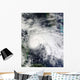 Tropical Storm Ida Caribbean Wall Decal Design 1