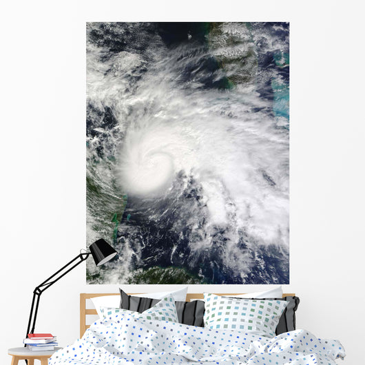 Tropical Storm Ida Caribbean Wall Decal Design 1