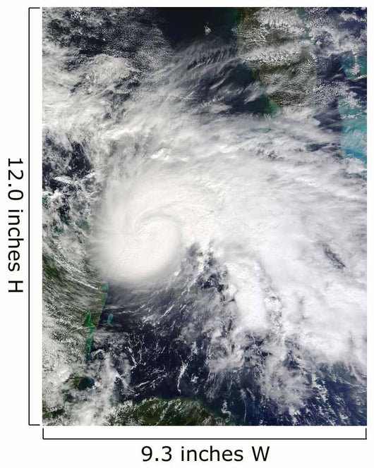 Tropical Storm Ida Caribbean Wall Decal Design 1