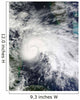 Tropical Storm Ida Caribbean Wall Decal Design 1