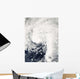 Tropical Storm Ida Gulf Wall Decal