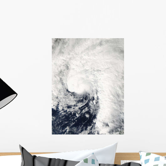 Tropical Storm Ida Gulf Wall Decal