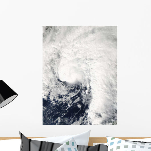 Tropical Storm Ida Gulf Wall Decal