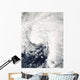 Tropical Storm Ida Gulf Wall Decal