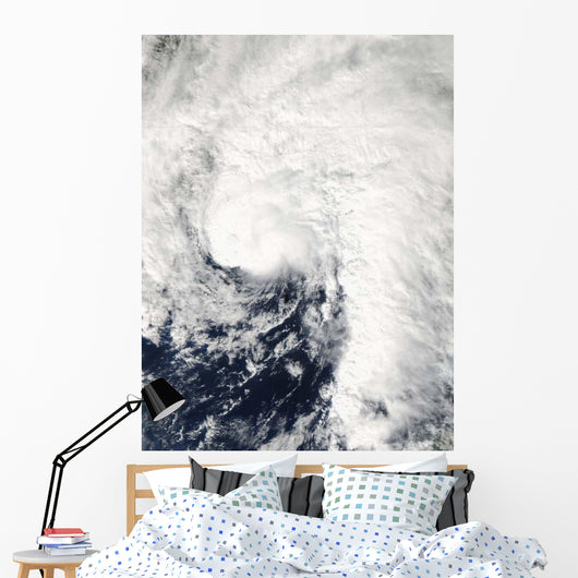 Tropical Storm Ida Gulf Wall Decal