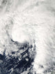Tropical Storm Ida Gulf Wall Decal